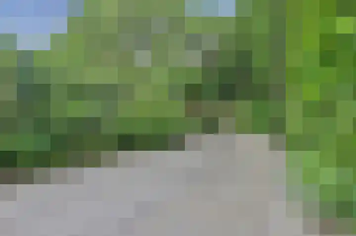 Koos Vorrinkstraat 16 Goes thumbnail 22