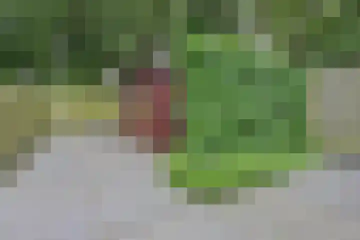 Koos Vorrinkstraat 16 Goes thumbnail 23