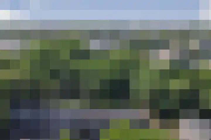 Koos Vorrinkstraat 16 Goes thumbnail 25