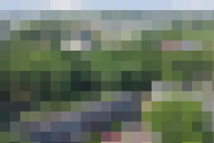 Koos Vorrinkstraat 16 Goes thumbnail 26
