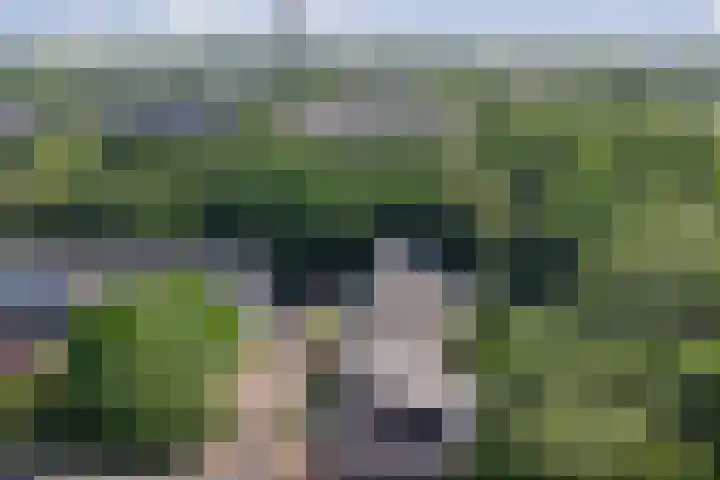 Koos Vorrinkstraat 16 Goes thumbnail 28