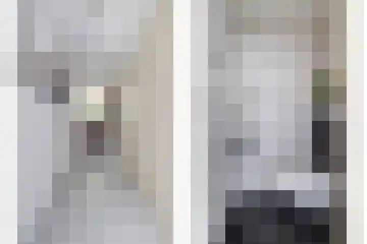 Koos Vorrinkstraat 16 Goes thumbnail 4