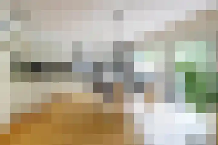 Koos Vorrinkstraat 16 Goes thumbnail 5