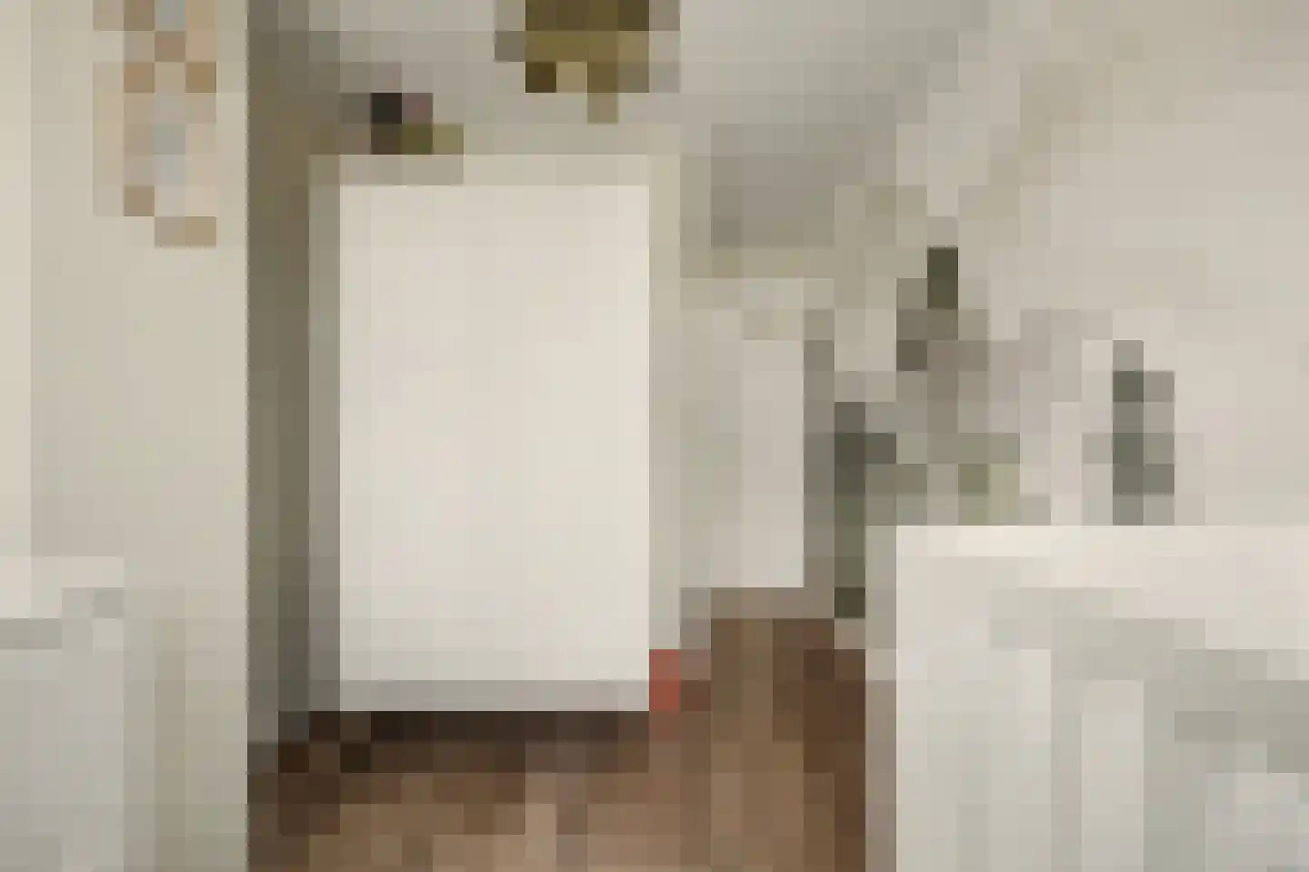Koos Vorrinkstraat 28 Goes thumbnail 33