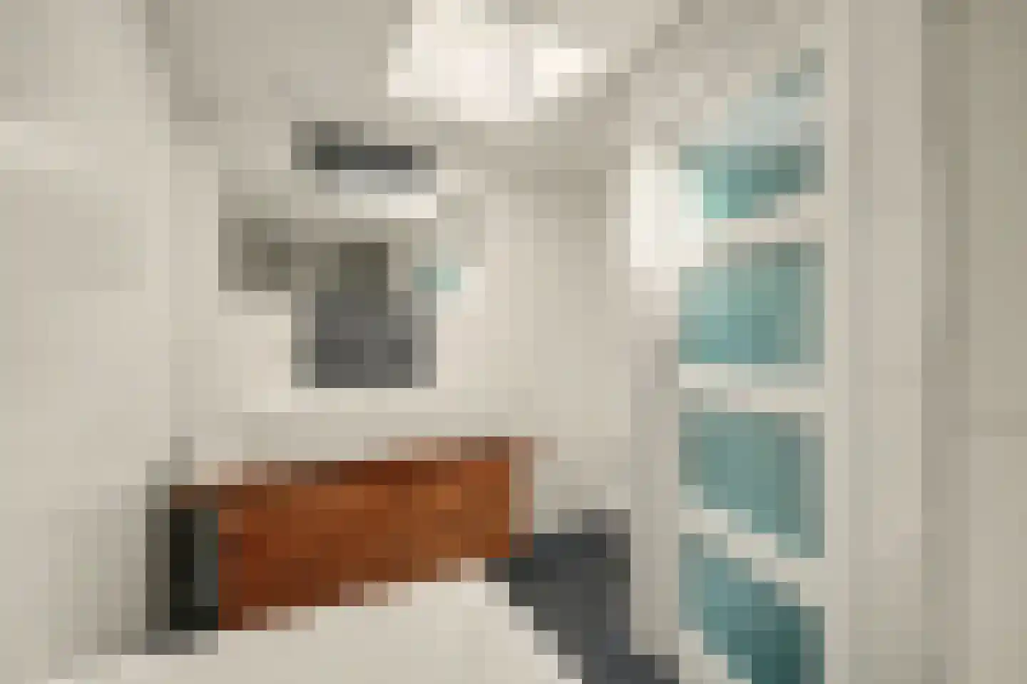 Koos Vorrinkstraat 28 Goes thumbnail 34