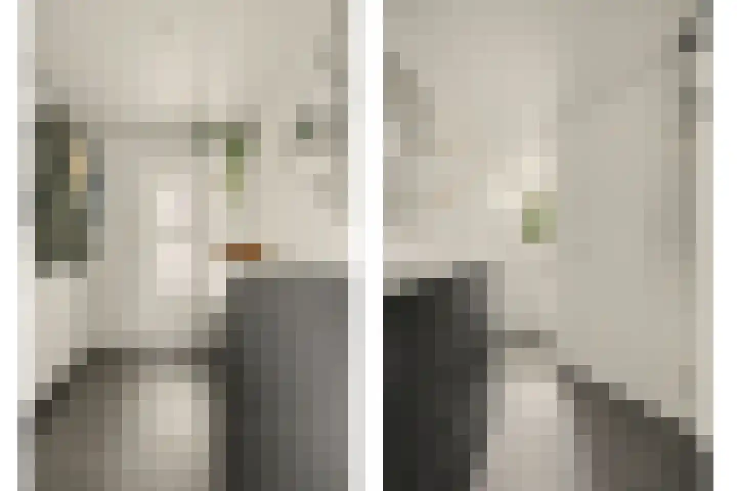 Koos Vorrinkstraat 28 Goes thumbnail 8