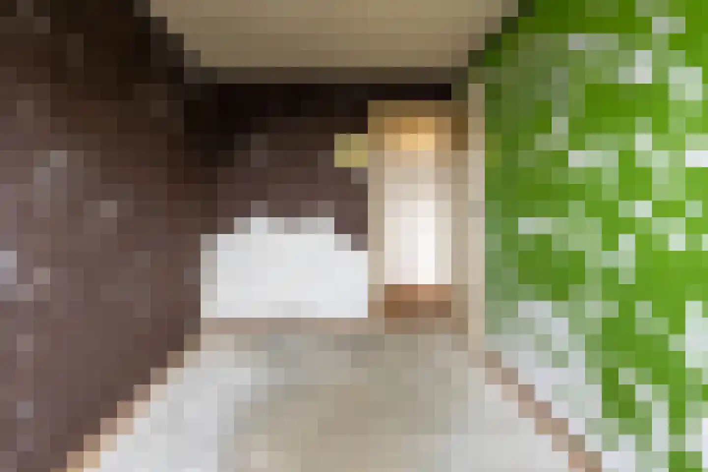 Koos Vorrinkstraat 51 Goes thumbnail 41