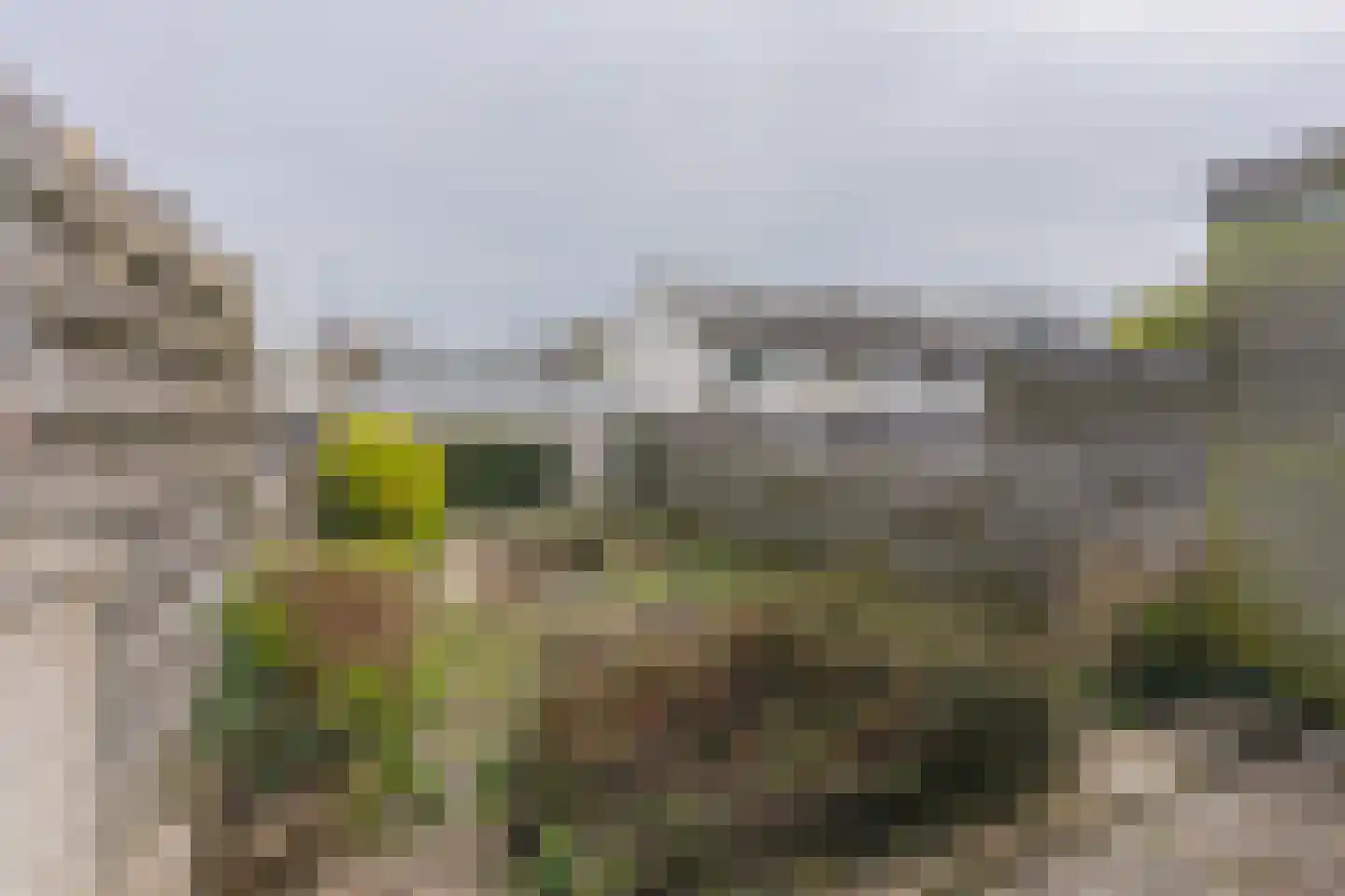 Koos Vorrinkstraat 51 Goes thumbnail 46