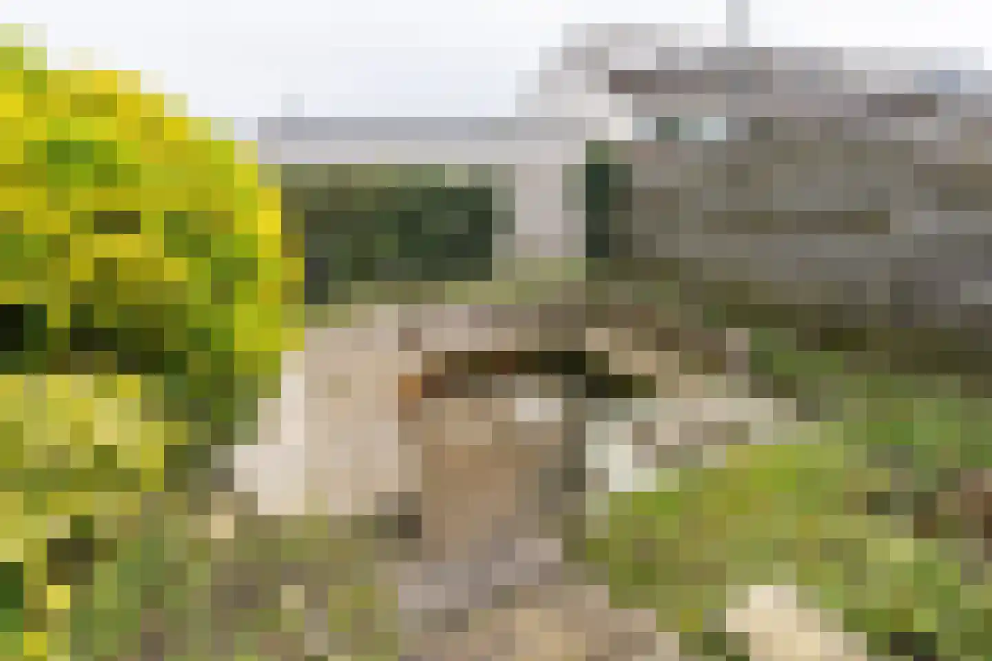 Koos Vorrinkstraat 51 Goes thumbnail 48