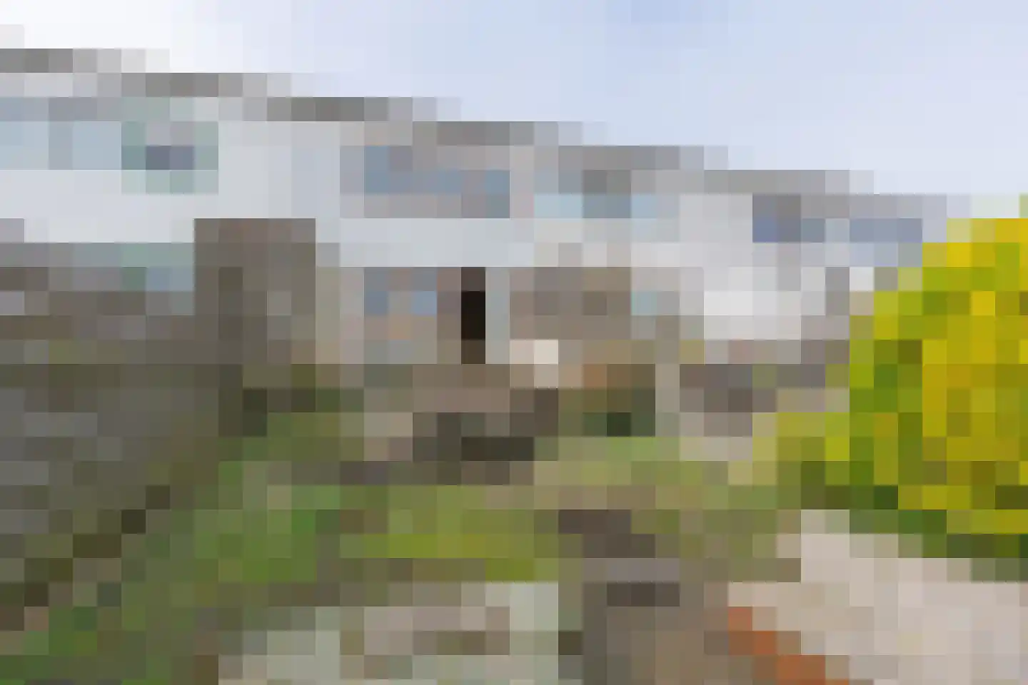 Koos Vorrinkstraat 51 Goes thumbnail 49