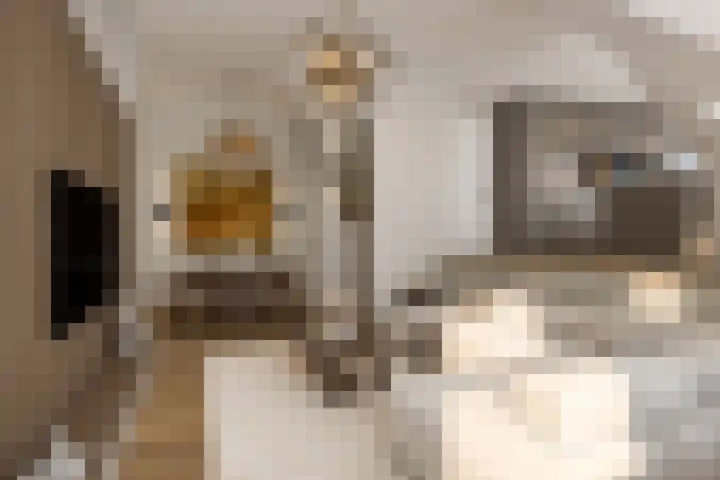 Kootsekade 14 A Rotterdam thumbnail 13