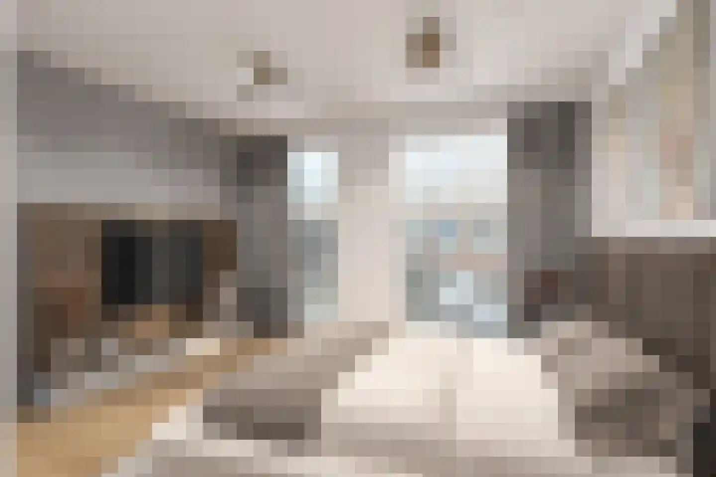 Kootsekade 14 A Rotterdam thumbnail 21