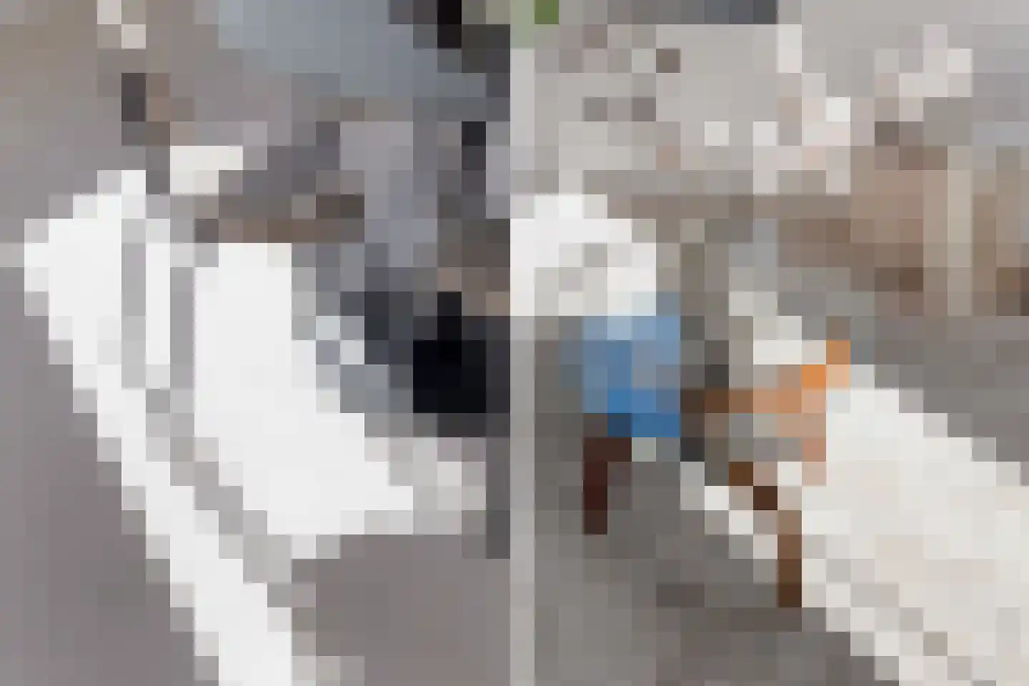 Kootsekade 14 B Rotterdam thumbnail 10