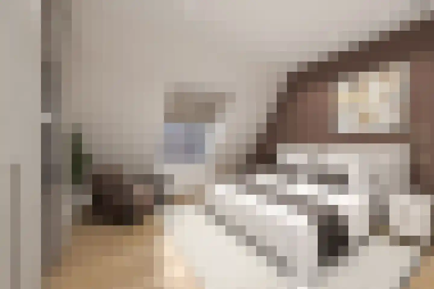 Kootsekade 14 B Rotterdam thumbnail 26