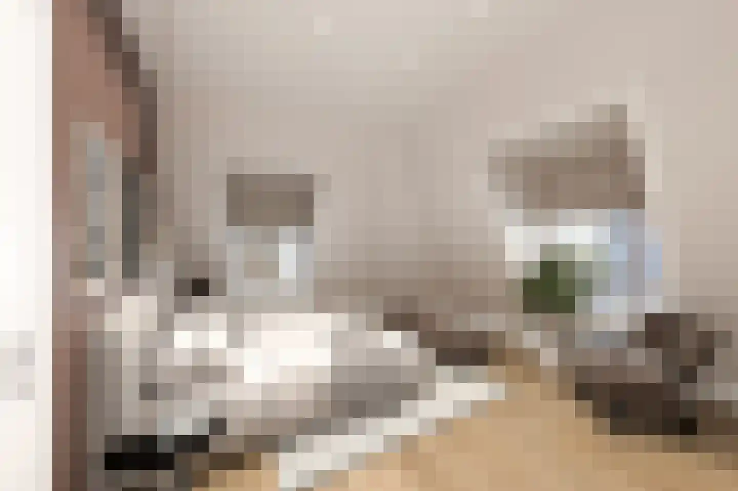 Kootsekade 14 B Rotterdam thumbnail 27
