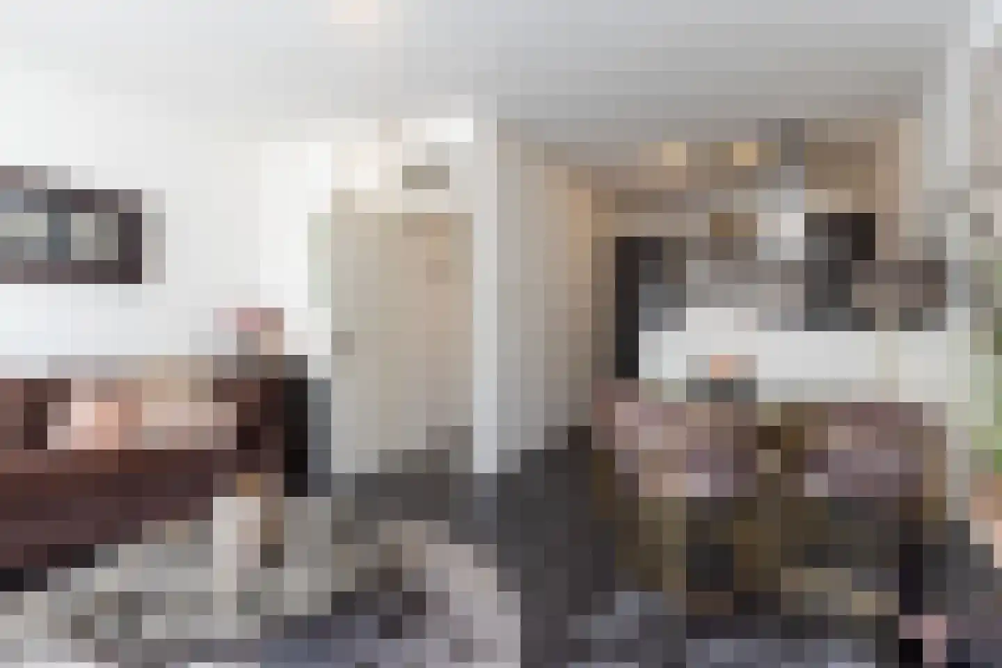 Kootsekade 7 B Rotterdam thumbnail 6