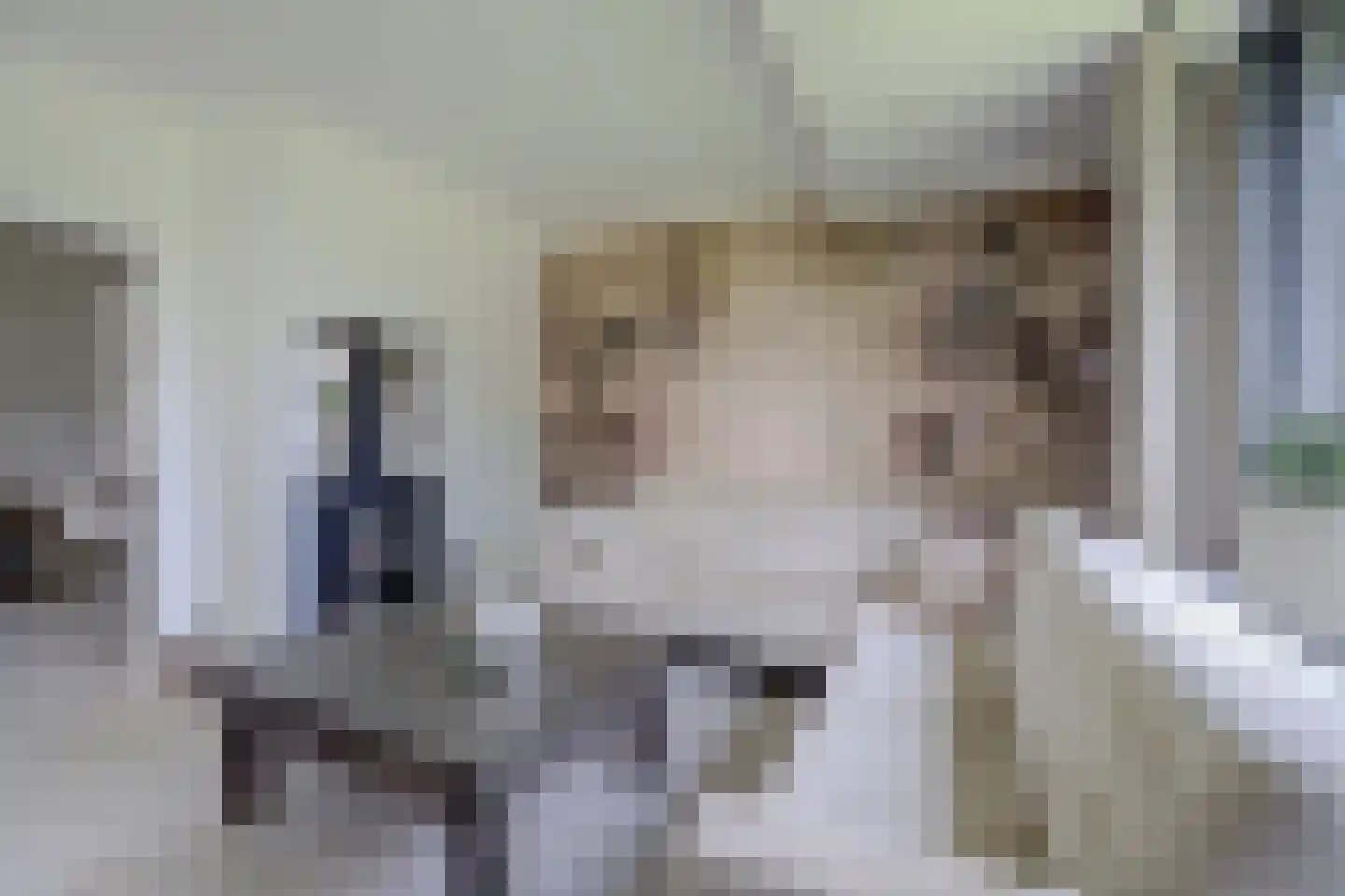 Kootwijkerdijk 11 Kootwijkerbroek thumbnail 17