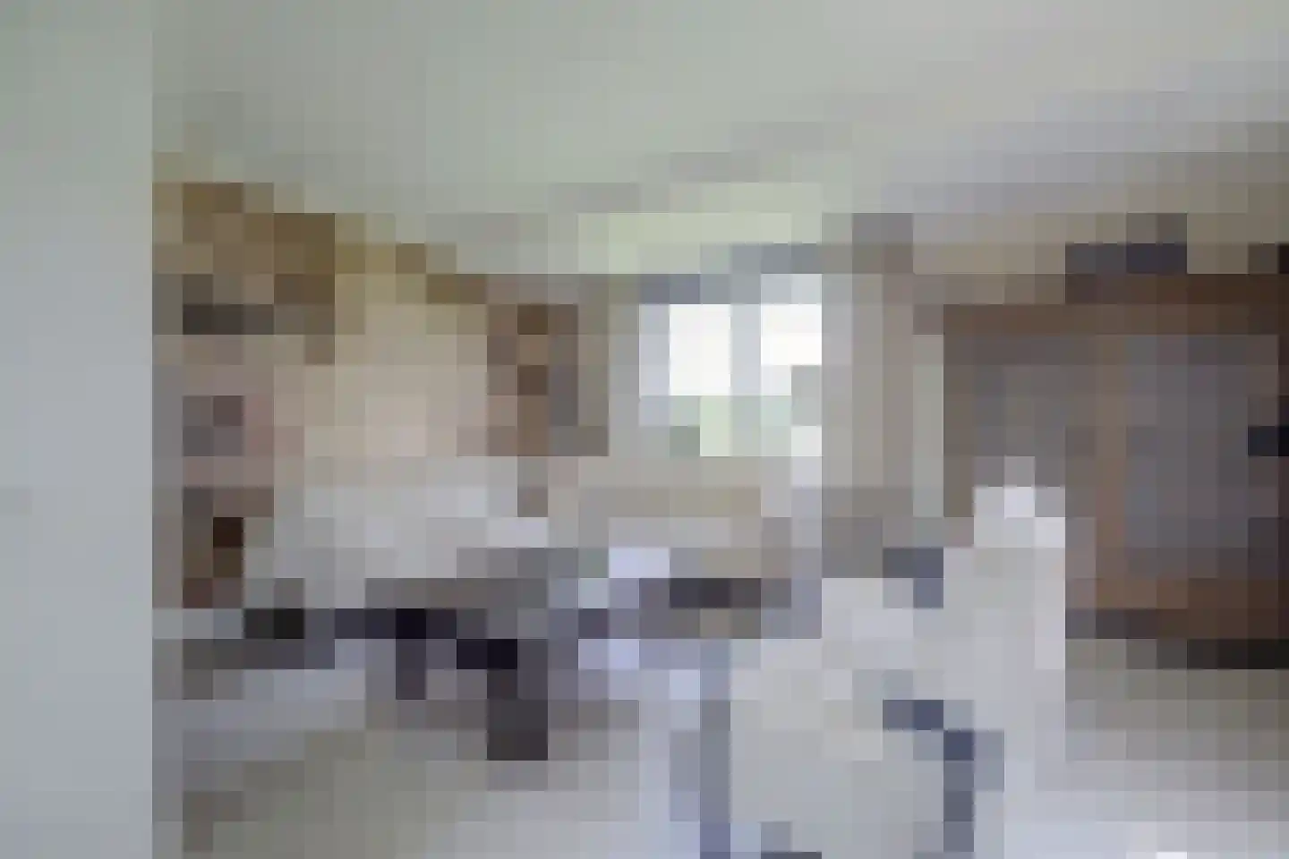Kootwijkerdijk 11 Kootwijkerbroek thumbnail 18