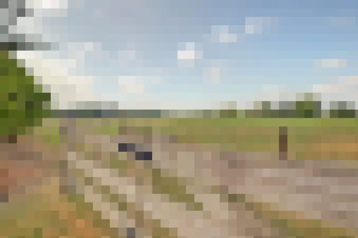 Kootwijkerdijk 11 Kootwijkerbroek thumbnail 41