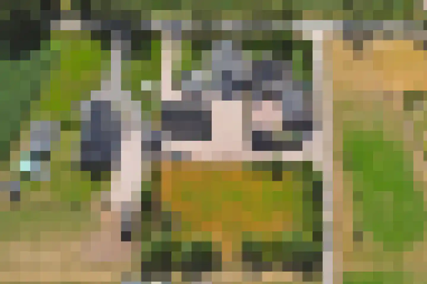 Kootwijkerdijk 11 Kootwijkerbroek thumbnail 42