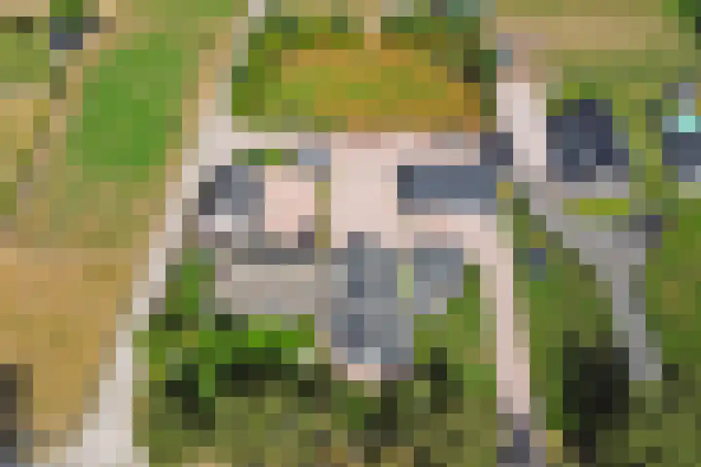 Kootwijkerdijk 11 Kootwijkerbroek thumbnail 6