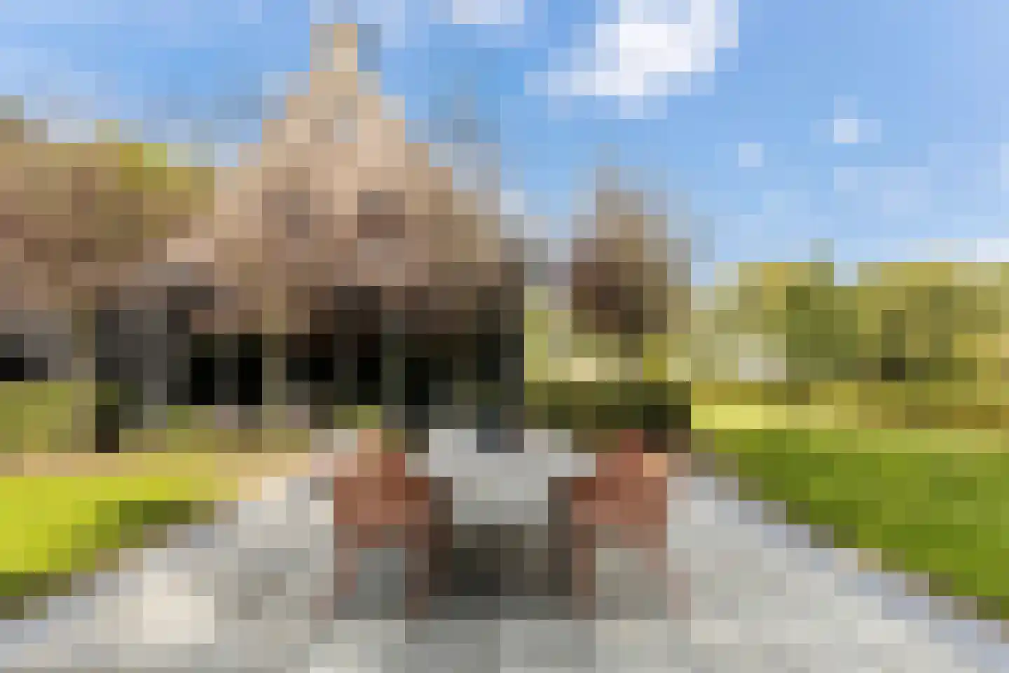 Kootwijkerdijk 12 A Kootwijkerbroek thumbnail 47