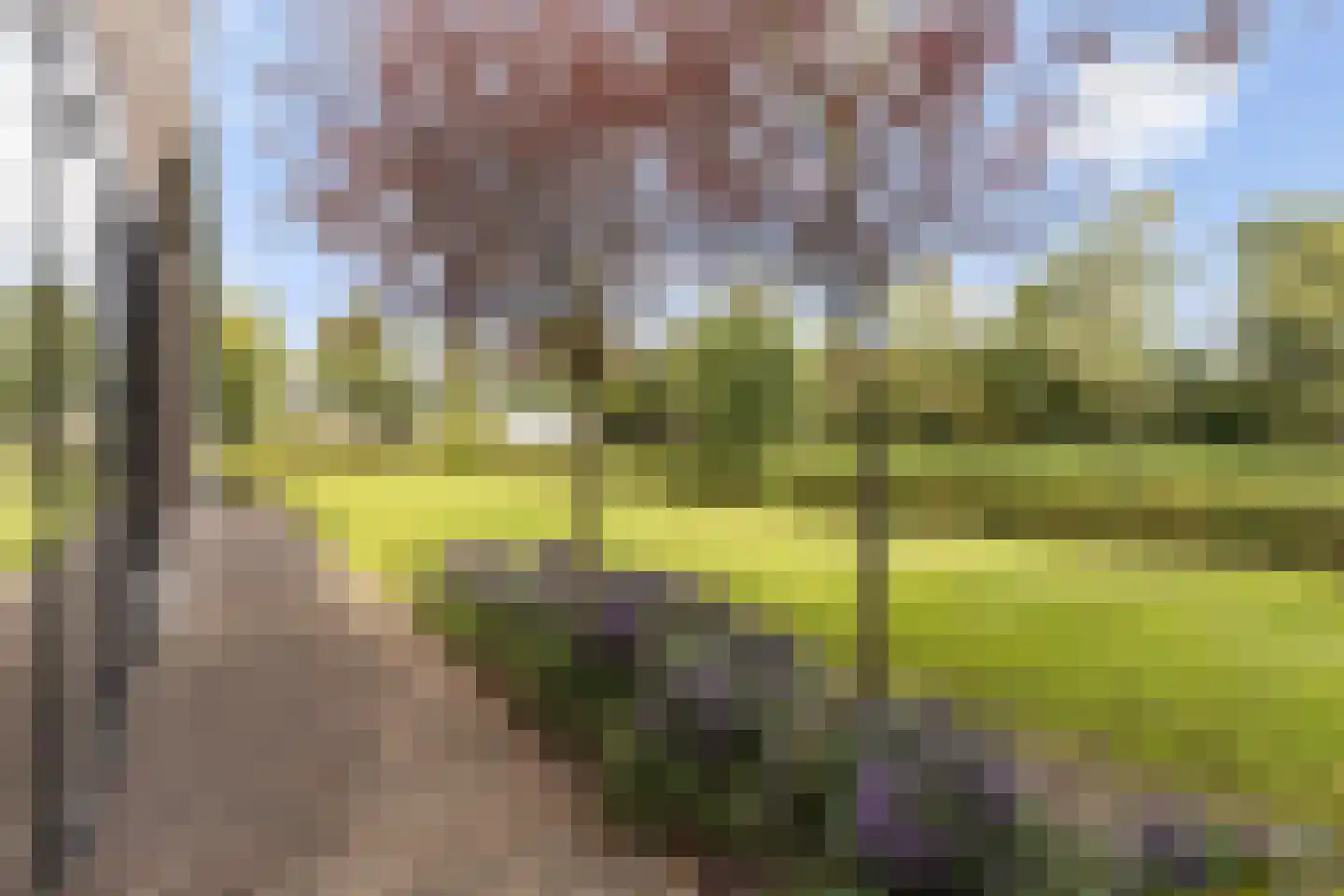 Kootwijkerdijk 12 A Kootwijkerbroek thumbnail 51
