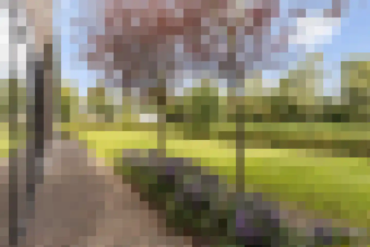 Kootwijkerdijk 12 A Kootwijkerbroek thumbnail 52