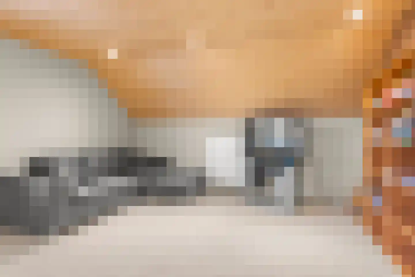 Kootwijkerdijk 20 Kootwijkerbroek thumbnail 32