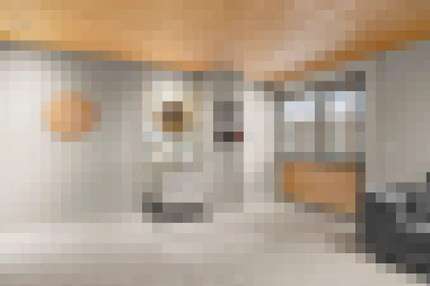 Kootwijkerdijk 20 Kootwijkerbroek thumbnail 33