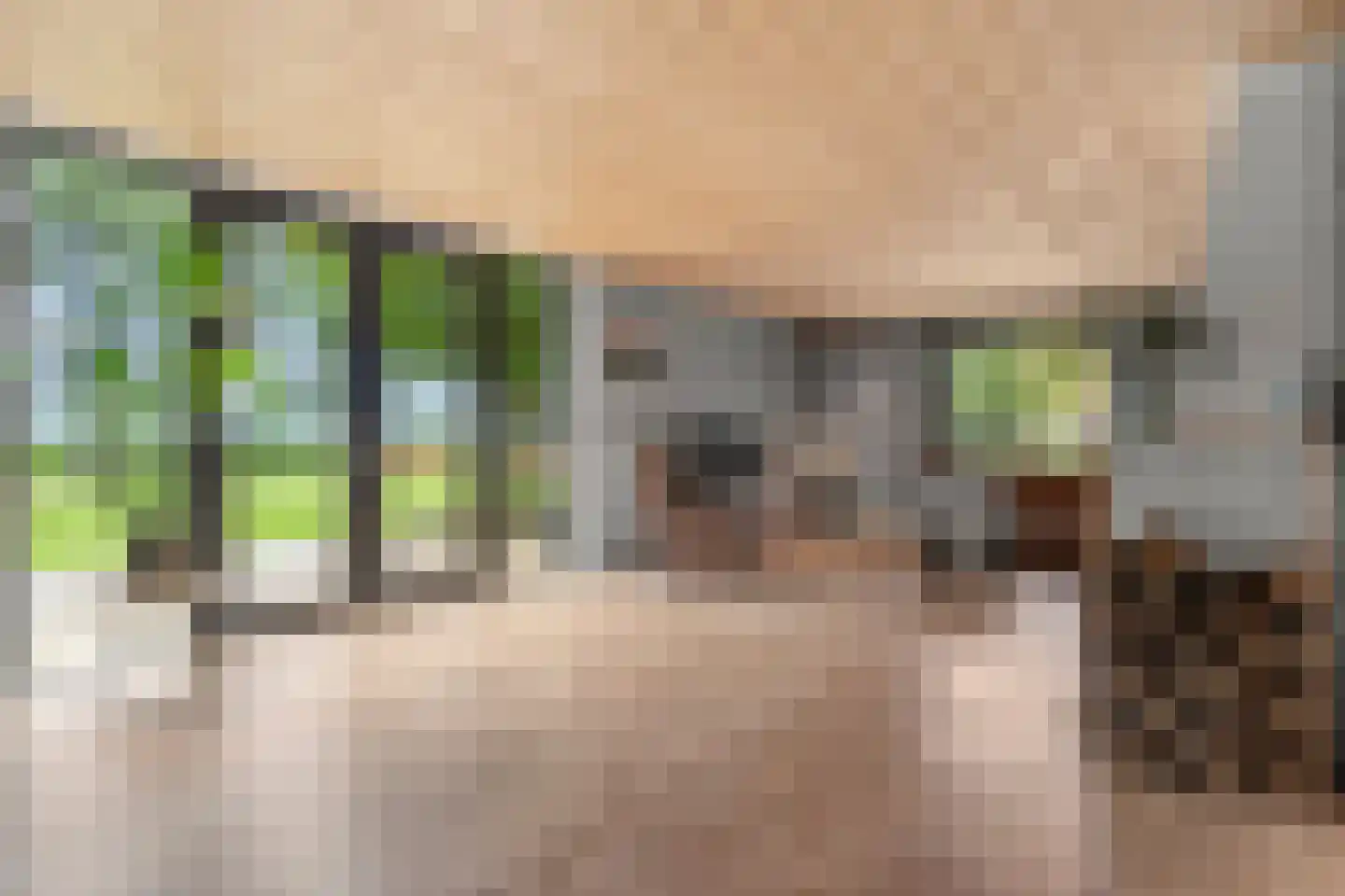 Kootwijkerdijk 20 Kootwijkerbroek thumbnail 4