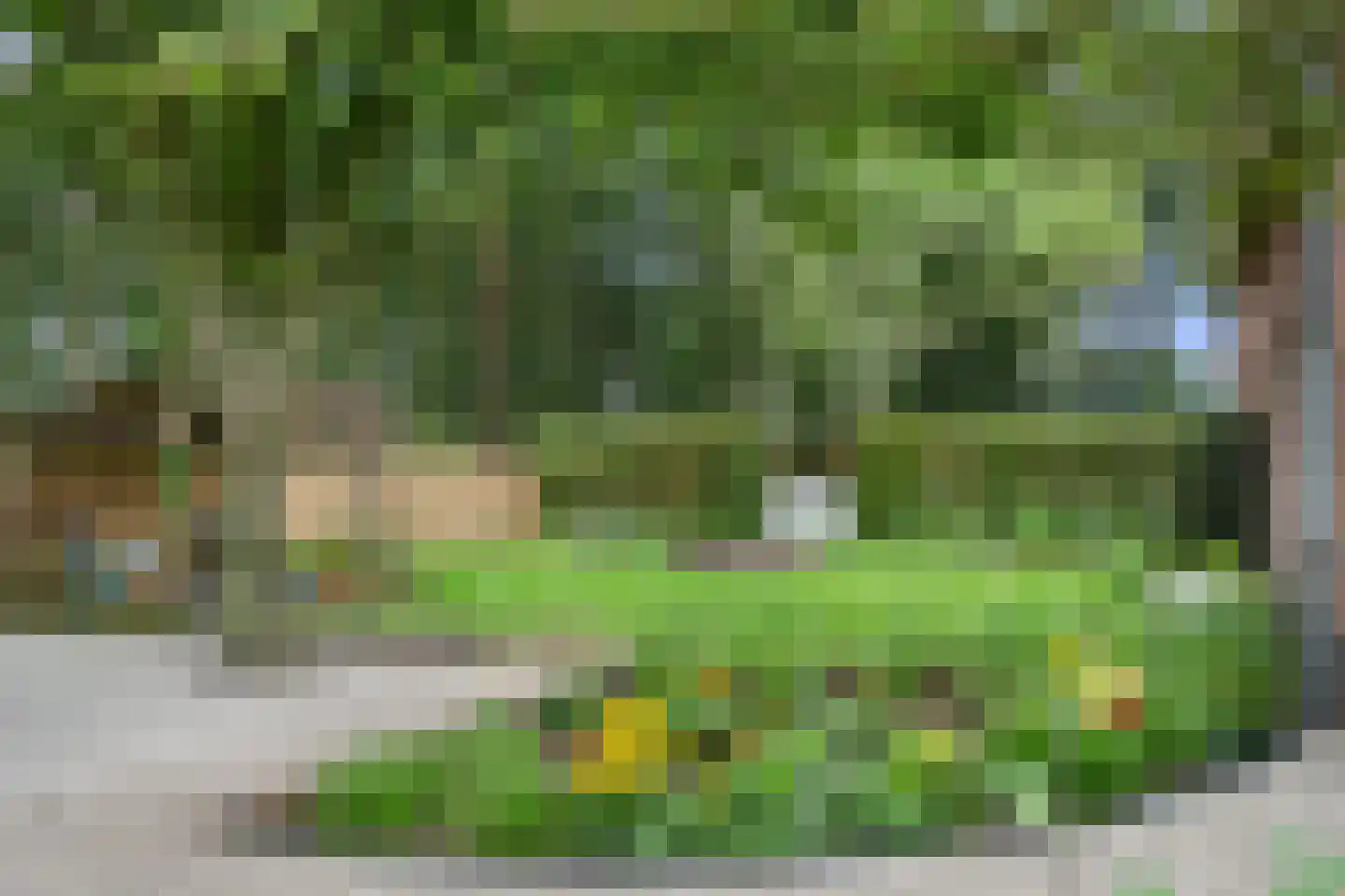 Kootwijkerdijk 20 Kootwijkerbroek thumbnail 54