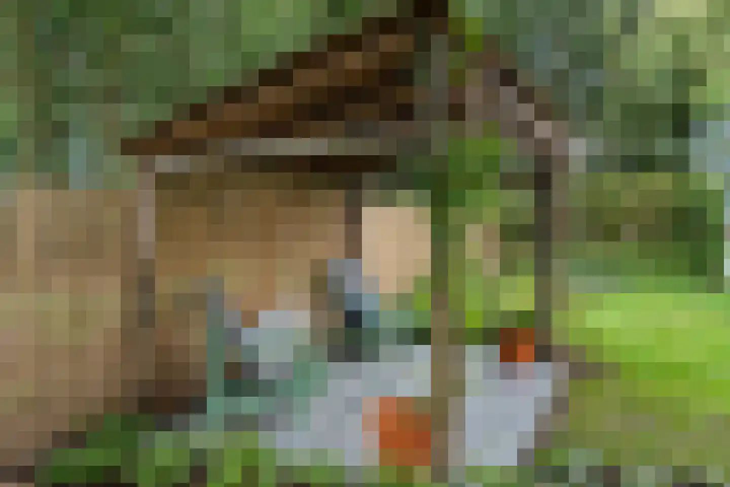 Kootwijkerdijk 20 Kootwijkerbroek thumbnail 56