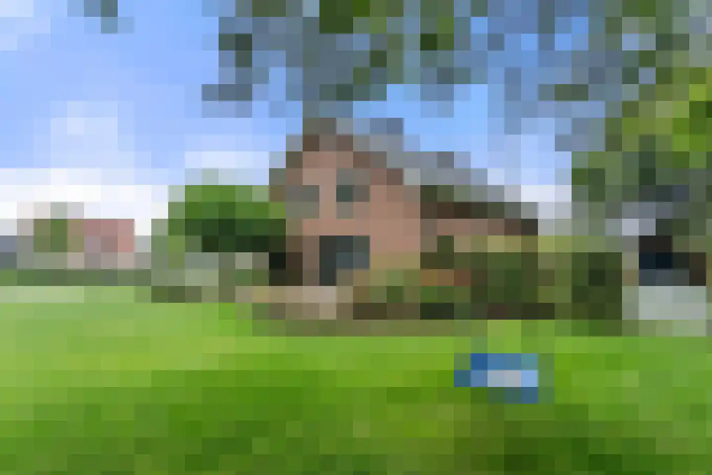 Kootwijkerdijk 20 Kootwijkerbroek thumbnail 59