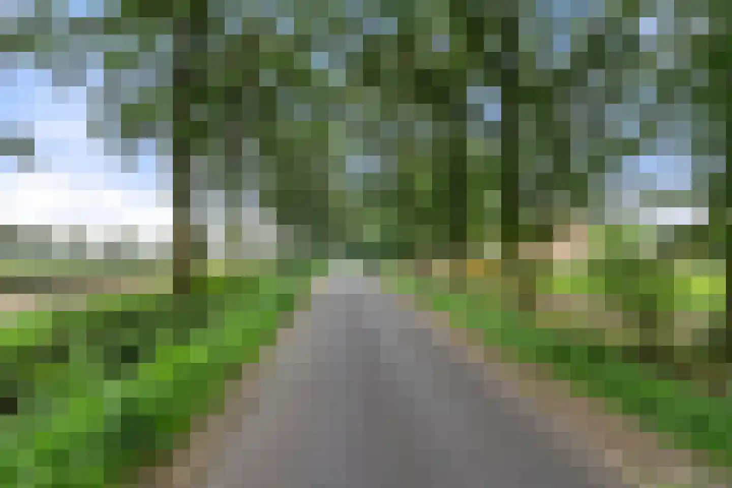 Kootwijkerdijk 20 Kootwijkerbroek thumbnail 67