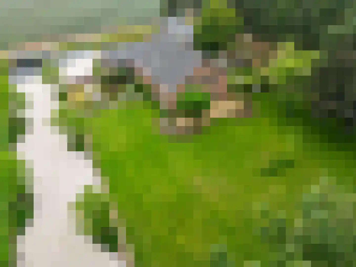 Kootwijkerdijk 20 Kootwijkerbroek thumbnail 69