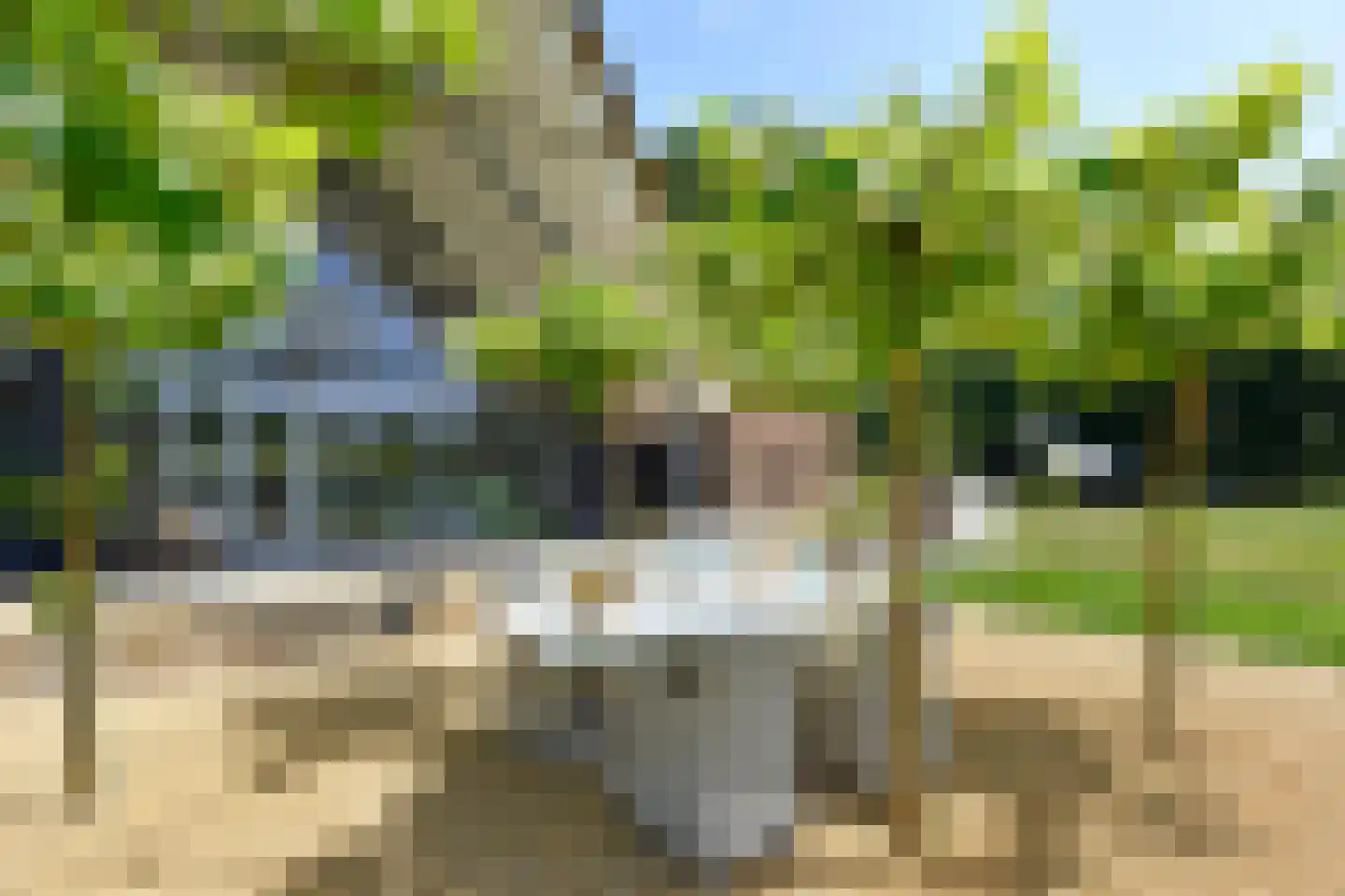 Kootwijkerdijk 22 Kootwijkerbroek thumbnail 10