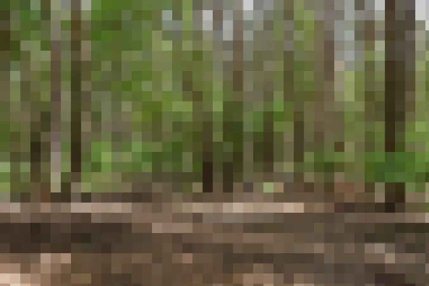 Kootwijkerdijk 22 Kootwijkerbroek thumbnail 12