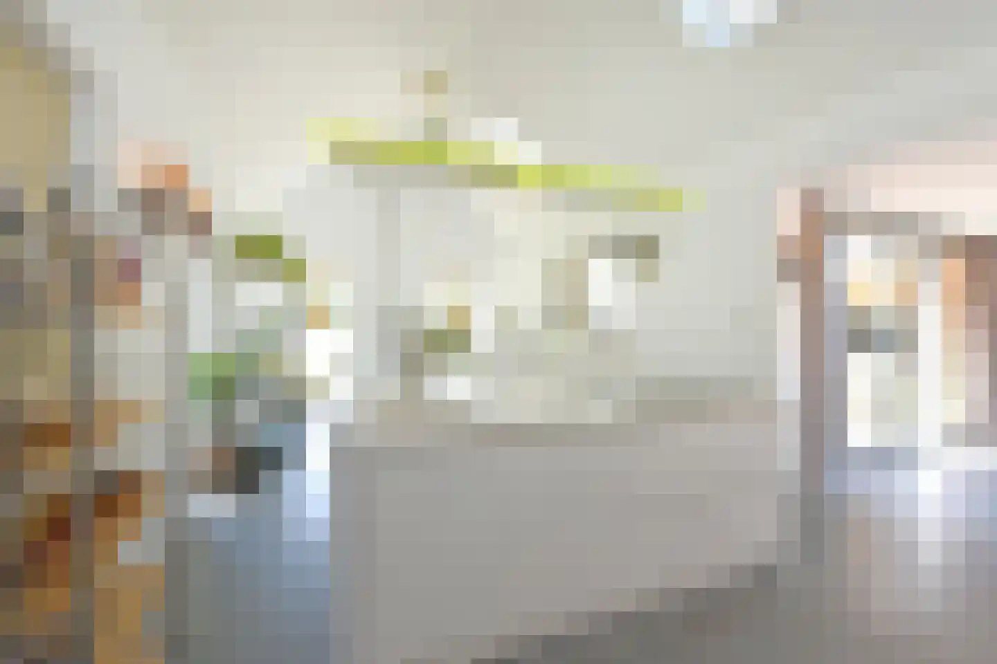 Kootwijkerdijk 22 Kootwijkerbroek thumbnail 18