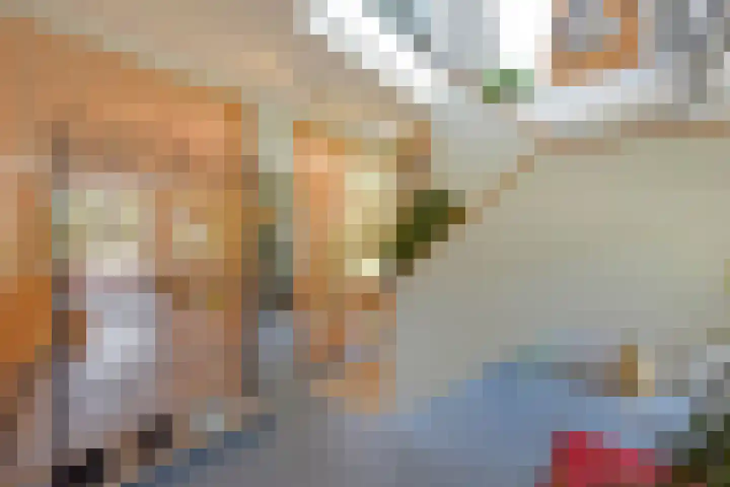Kootwijkerdijk 22 Kootwijkerbroek thumbnail 22