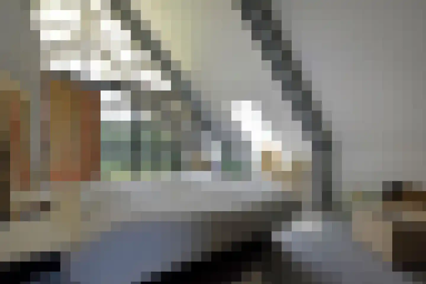 Kootwijkerdijk 22 Kootwijkerbroek thumbnail 31