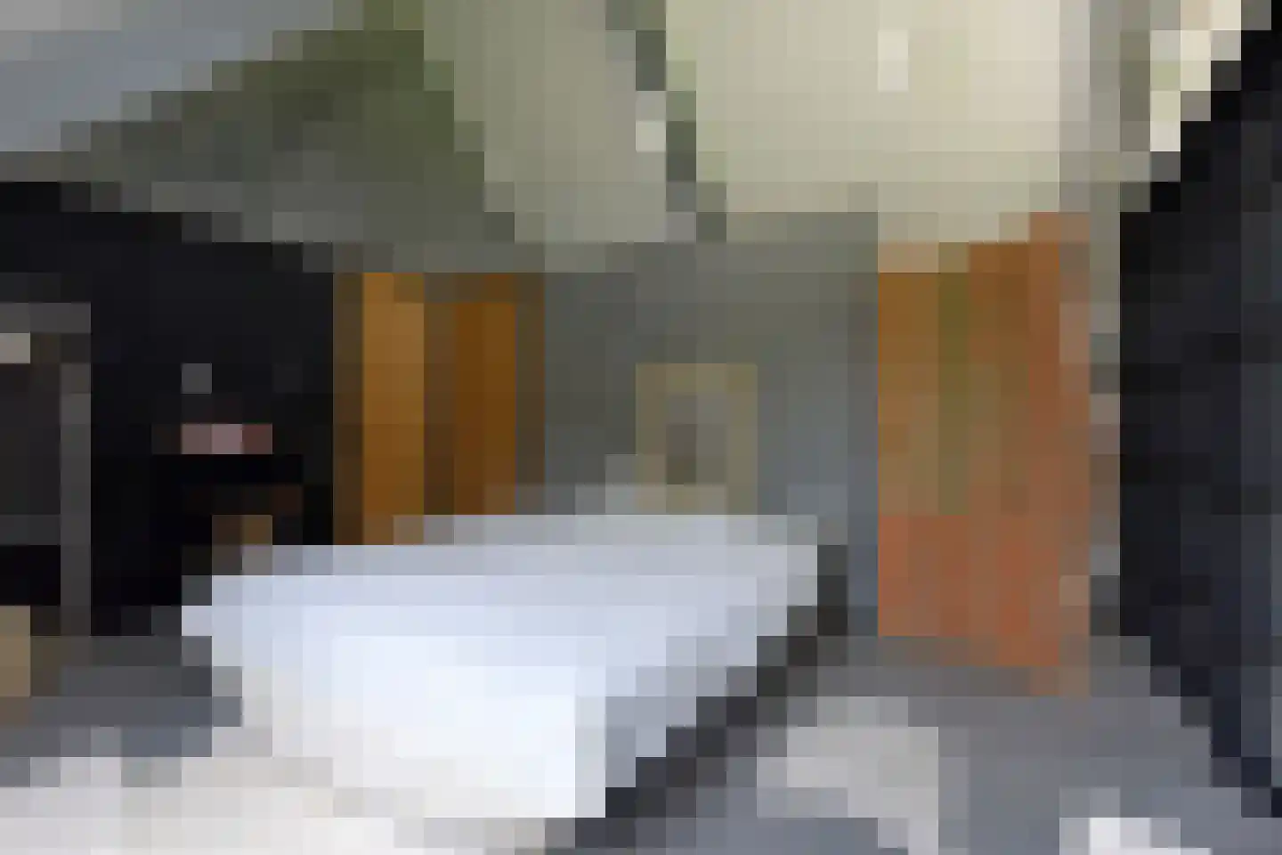 Kootwijkerdijk 22 Kootwijkerbroek thumbnail 32