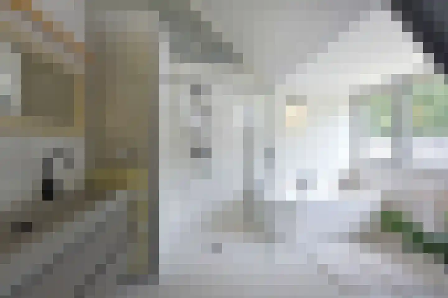 Kootwijkerdijk 22 Kootwijkerbroek thumbnail 33