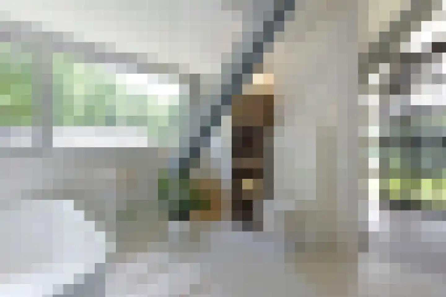 Kootwijkerdijk 22 Kootwijkerbroek thumbnail 34