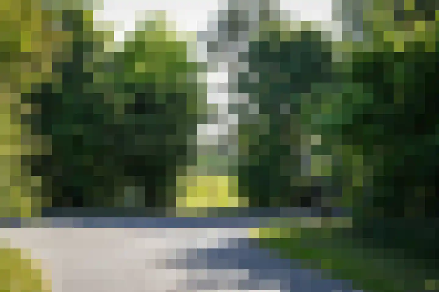 Kootwijkerdijk 22 Kootwijkerbroek thumbnail 46
