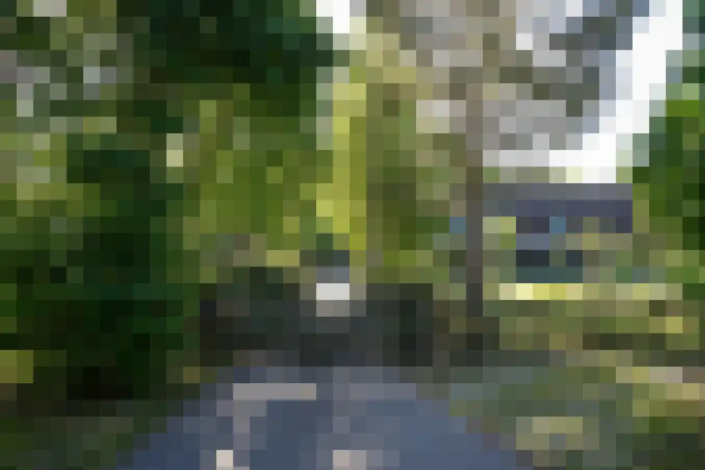 Kootwijkerdijk 22 Kootwijkerbroek thumbnail 47
