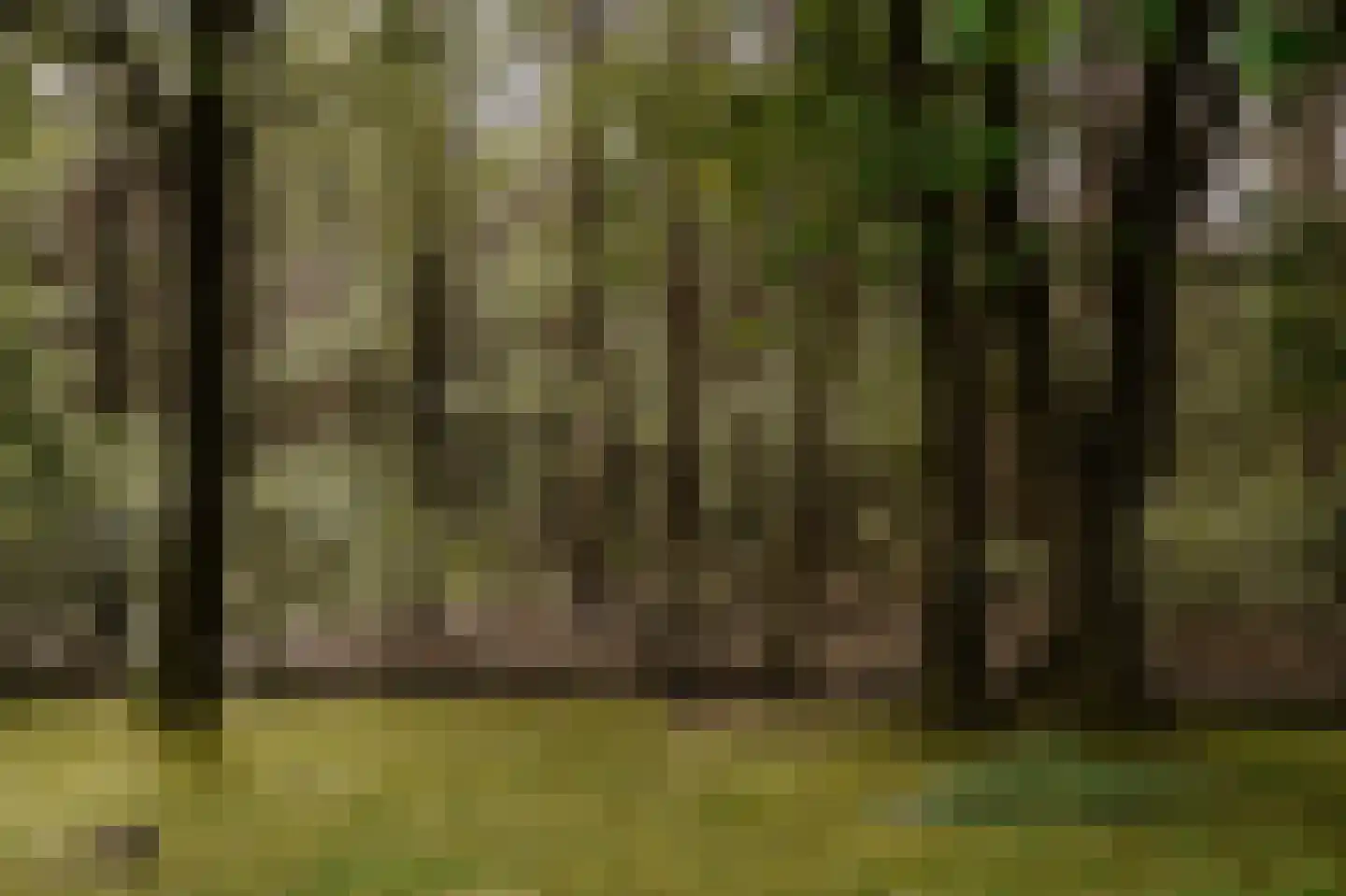 Kootwijkerdijk 22 Kootwijkerbroek thumbnail 48