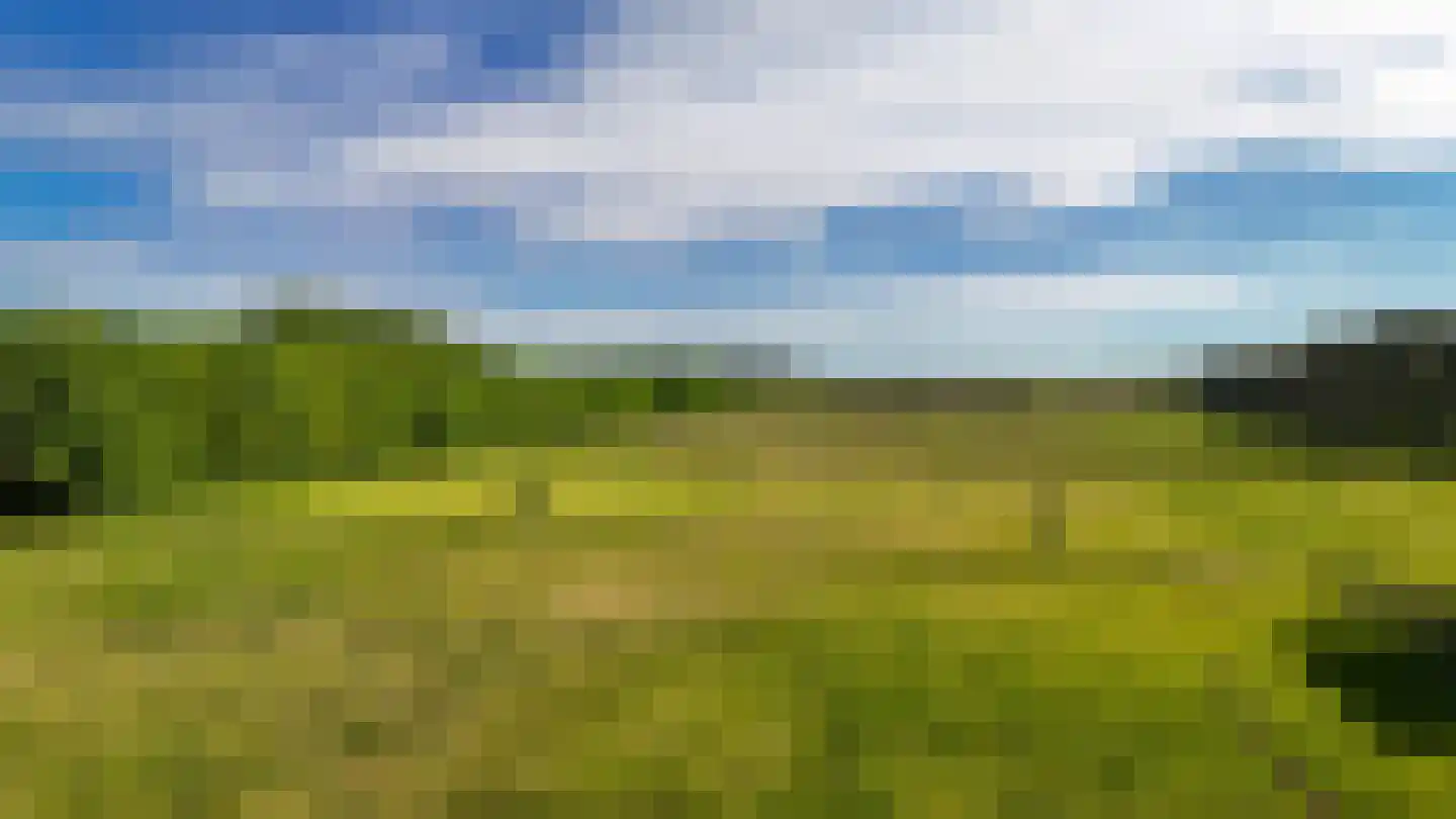 Kootwijkerdijk 22 Kootwijkerbroek thumbnail 50