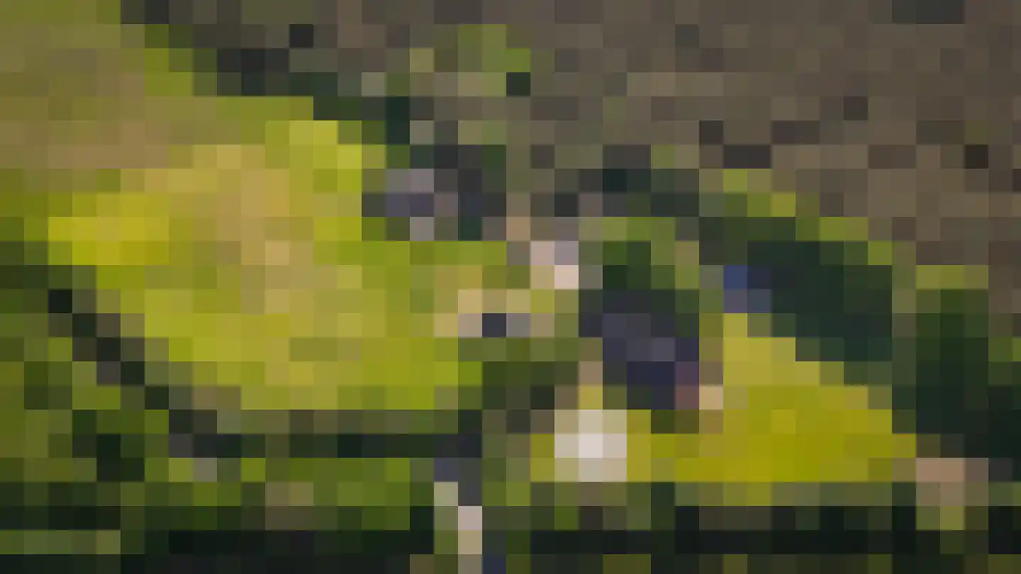 Kootwijkerdijk 22 Kootwijkerbroek thumbnail 51