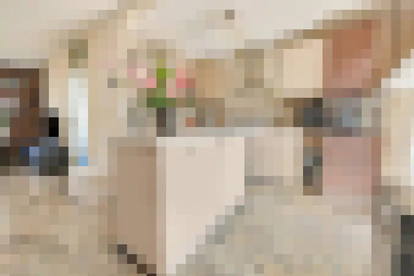 Kootwijkerzand 1 Amersfoort thumbnail 13